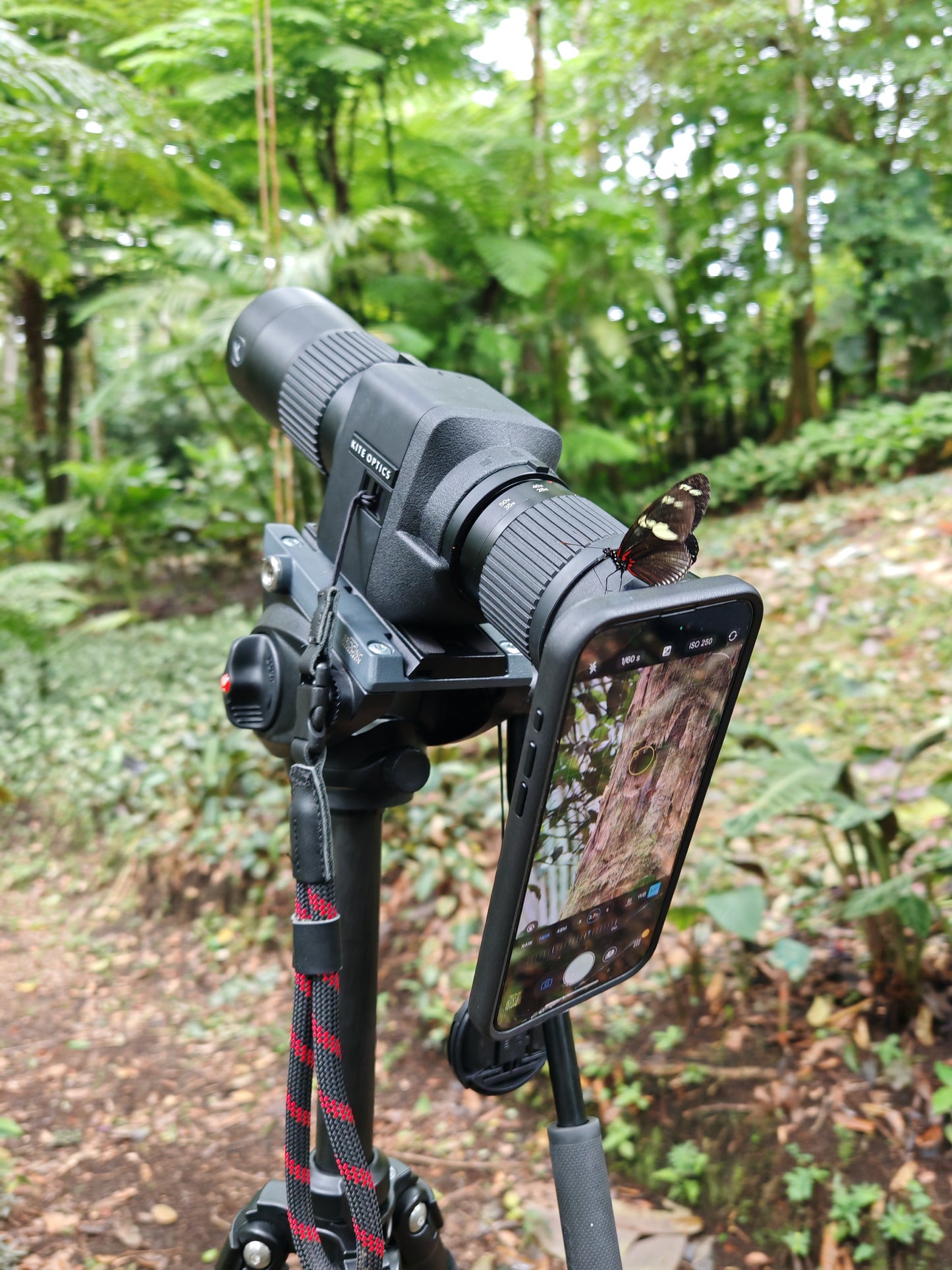 KITE OPTICS Digiscoping Starter Set APC 60 ED x 17–35 – stabilized precision for perfect results