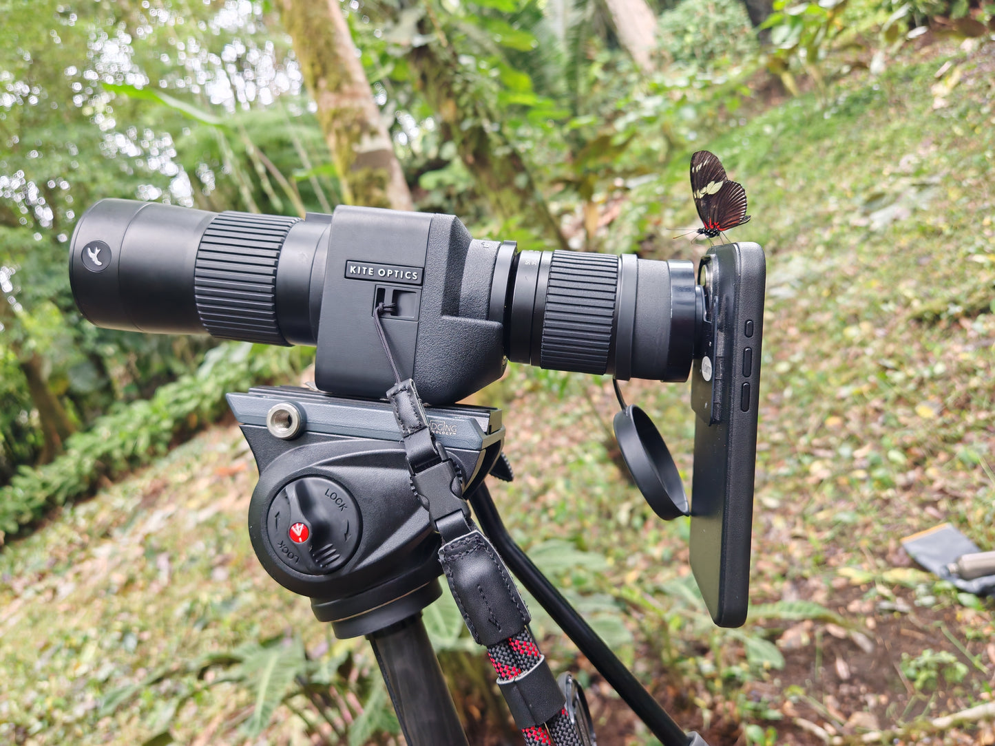 KITE OPTICS Digiscoping Starter Set APC 60 ED x 17–35 – stabilized precision for perfect results